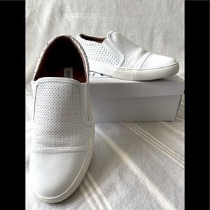 Steve Madden Ambition sneaker
